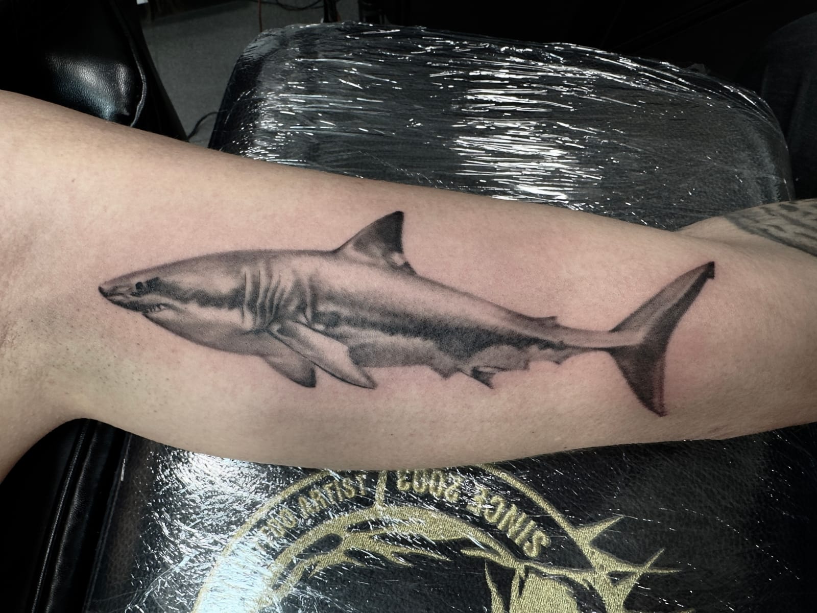 Tetování od Zdeněk Kubánek — Genesis Tattoo, Roudnice nad Labem (32)
